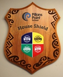 Finished Shield