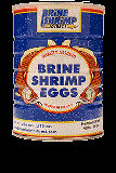 Brine Shrimp Eggs