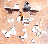 Butterfly set of 10 Mirrors