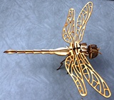 Dragon Fly 3D