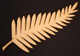 Fern 3