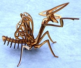 Praying Mantis 3D